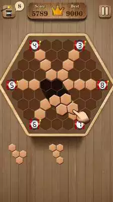 Play Wooden Hexagon