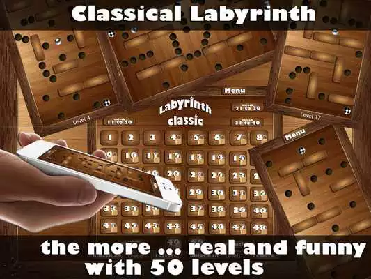 Play Wooden Labyrinth