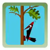 Free play online Woodpecker Backyard Woodcutter APK