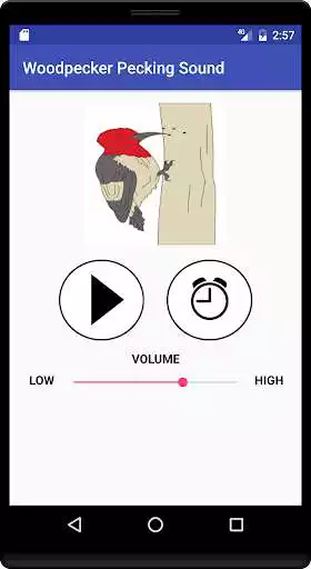 Play Woodpecker Pecking Sound as an online game Woodpecker Pecking Sound with UptoPlay