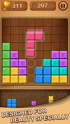 Play wood puzzle