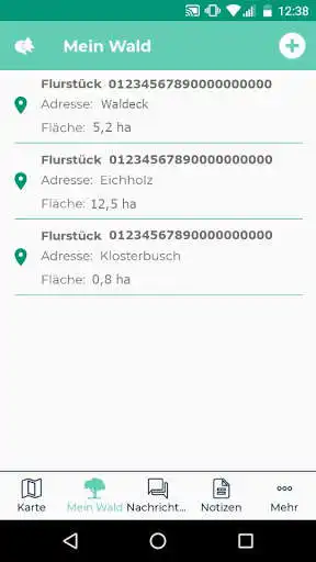 Play WoodsApp as an online game WoodsApp with UptoPlay