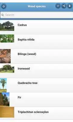 Play Wood species