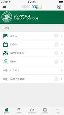 Play Woodville Primary School