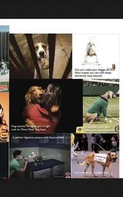 Play Woof! The Mag with a Wag!