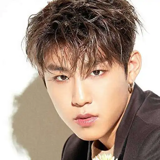 Play Woojin Wallpapers Kpop HD APK