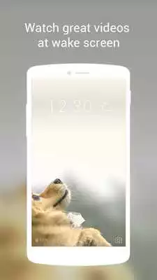 Play Woolly Puppy Locker Live Theme
