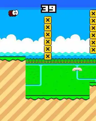 Play Woolo