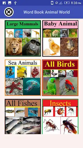 Play Word Book Animal World and enjoy Word Book Animal World with UptoPlay Play Word Book Animal World and enjoy Word Book Animal World with UptoPlay