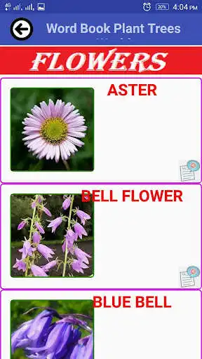 Play Word Book Plant Trees World as an online game online Word Book Plant Trees World with UptoPlay salehagroup.wordbookplanttreesworld Play Word Book Plant Trees World as an online game Word Book Plant Trees World with UptoPlay