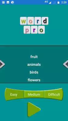 Play Word Pro Play Word Pro