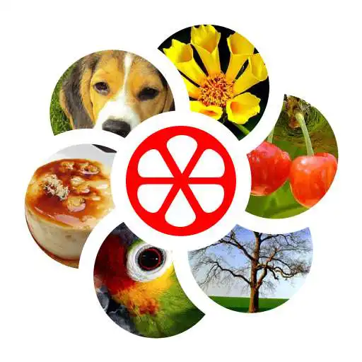 Free play online Word Rings APK