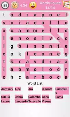 Play Word Search Italian