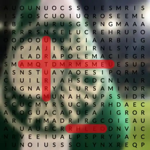 Play Word Search Palmeiras APK