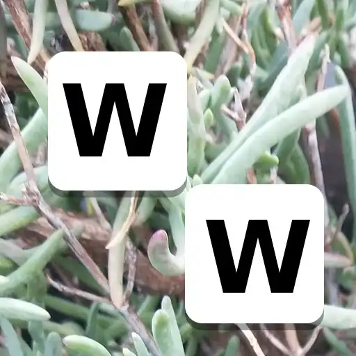 Play Word Whimsy APK
