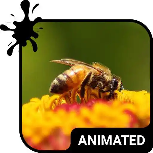 Play Working Bees Animated Keyboard APK