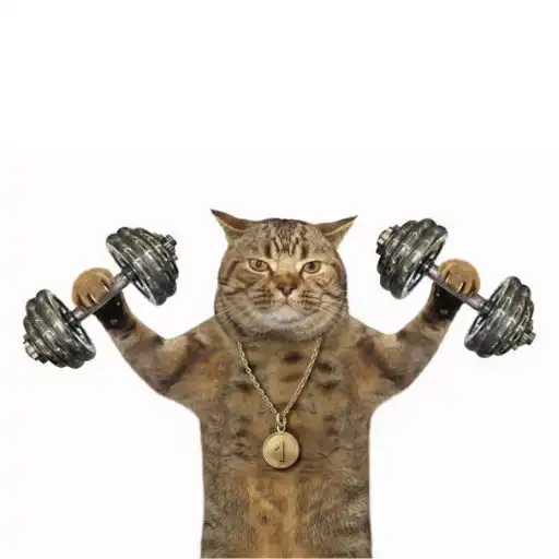 Play WorkoutCat "The Workout plan" APK