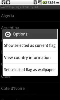 Play World Cup Flags
