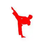 Free play online World Cup Karate and Fitness APK