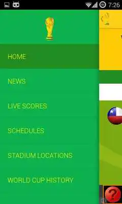 Play World Cup Soccer 2014 Brazil