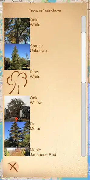 Play World Grove as an online game World Grove with UptoPlay