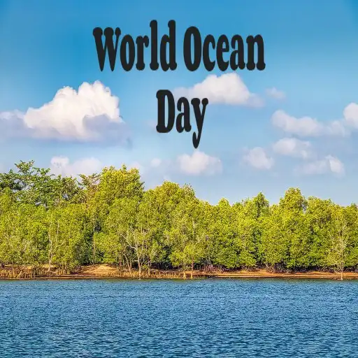 Play World Ocean Day APK Play World Ocean Day APK