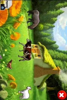 Play World of animals