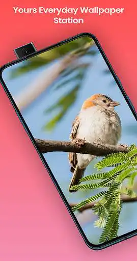 Play World of Wallpaper and enjoy World of Wallpaper with UptoPlay Play World of Wallpaper and enjoy World of Wallpaper with UptoPlay