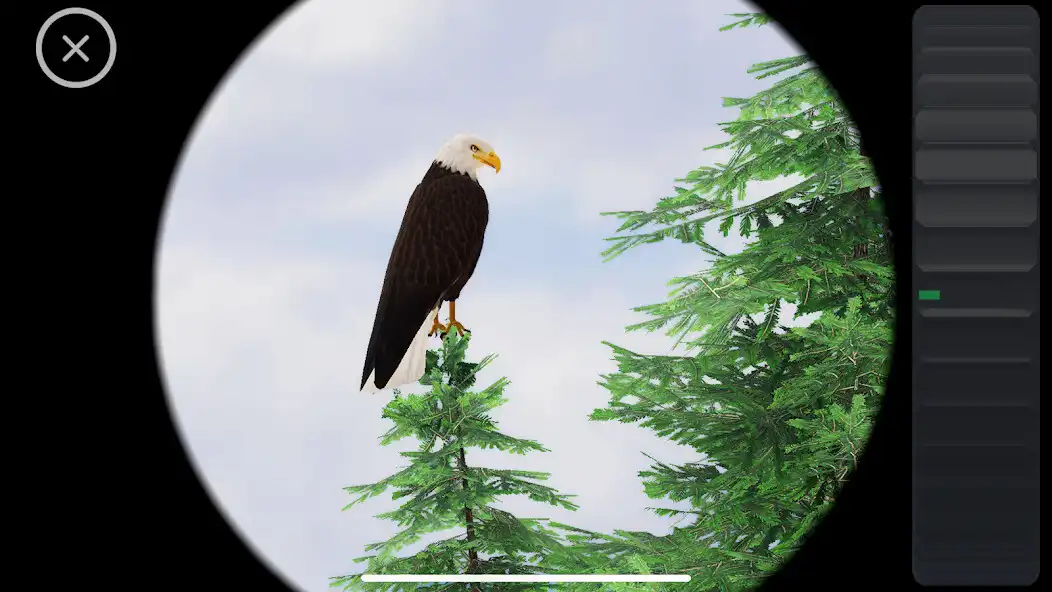 Play World of Wings  and enjoy World of Wings with UptoPlay