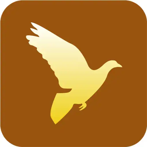 Play World Religion  Mysticism APK
