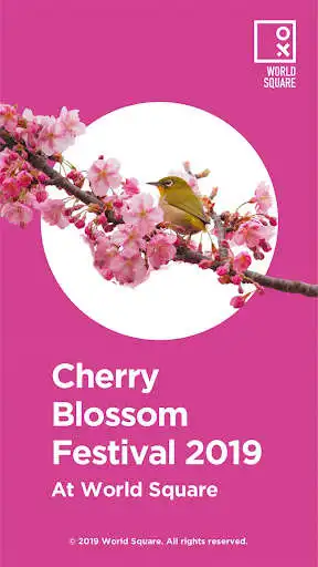 Play World Square Play World Square