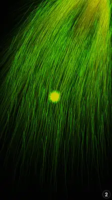 Play Wow! Particle Effects
