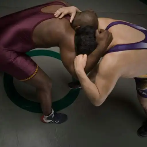 Play Wrestling Wallpaper APK