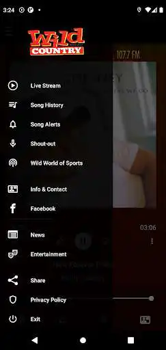 Play WSEOFM as an online game WSEOFM with UptoPlay