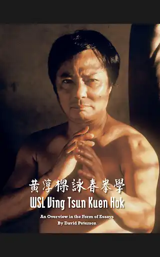Play WSL Ving Tsun Kuen Hok