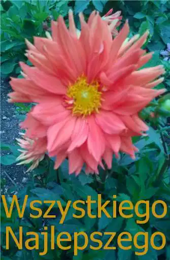 Play Wszystkiego najlepszego as an online game Wszystkiego najlepszego with UptoPlay
