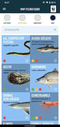 Play WWF-Fischratgeber as an online game WWF-Fischratgeber with UptoPlay