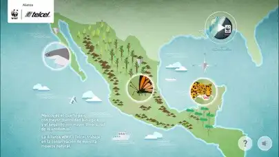 Play WWF - Telcel  and enjoy WWF - Telcel with UptoPlay