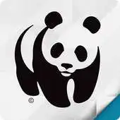 Free play online WWF Together APK