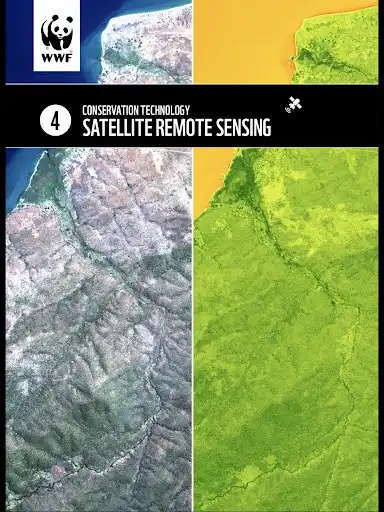 Play WWF Wissen as an online game WWF Wissen with UptoPlay