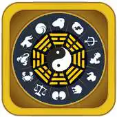 Free play online Xem tu vi tong hop 2016 APK