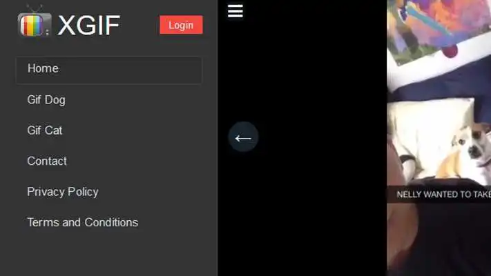Play XGIF TV