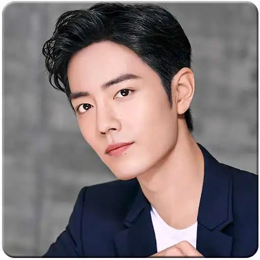 Play Xiao Zhan Wallpapers for Fan APK