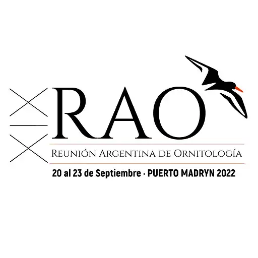 Play XIX RAO APK