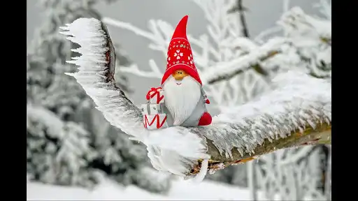 Play Xmas Wallpapers