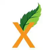 Free play online Xplore Yoga APK