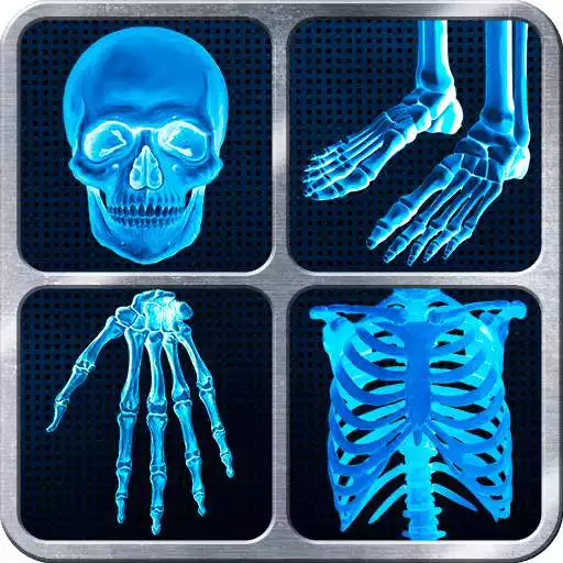 Free play online X-Ray Full Body Prank APK