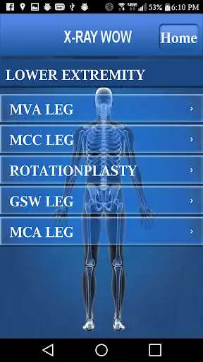 Play X-RAY WOW as an online game X-RAY WOW with UptoPlay