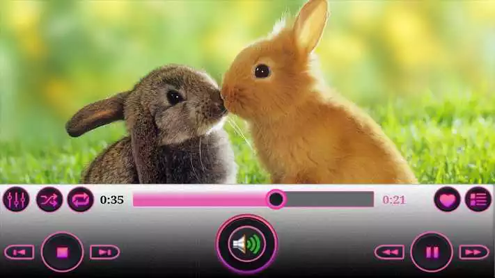 Play XS Video Player