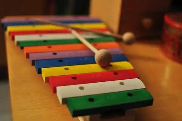 Play Xylophone Lessons